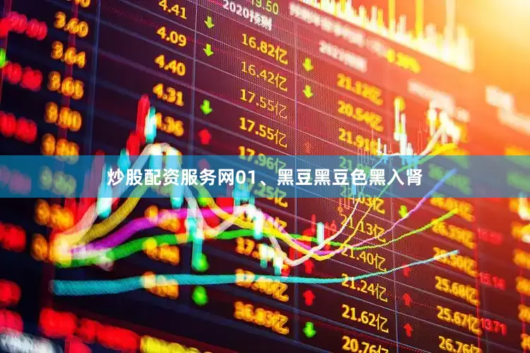 炒股配资服务网01、黑豆黑豆色黑入肾