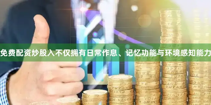 免费配资炒股入不仅拥有日常作息、记忆功能与环境感知能力